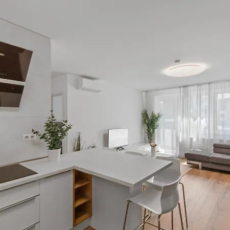 Lam White - Free Parking - Ac * 布拉迪斯拉发